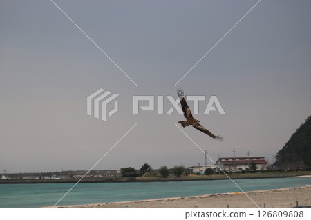 (高濱)06011732 (高濱)06011732 126809808