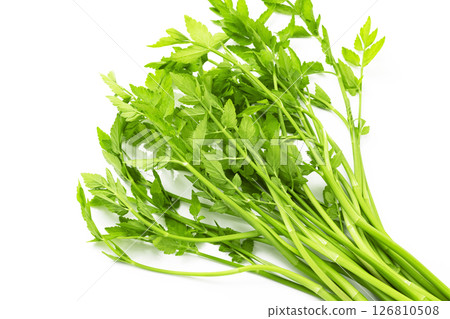 Japanese parsley on a white background 126810508