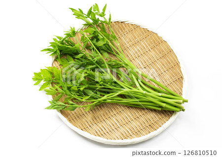Japanese parsley on a white background 126810510