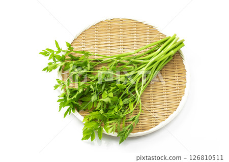 Japanese parsley on a white background 126810511