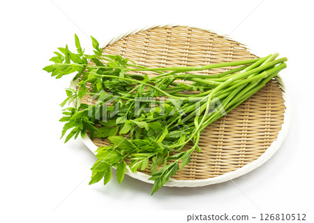 Japanese parsley on a white background 126810512