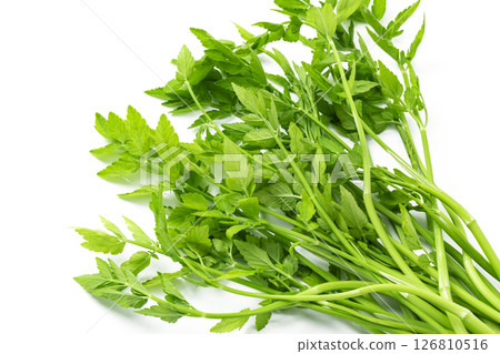 Japanese parsley on a white background 126810516
