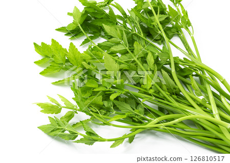 Japanese parsley on a white background 126810517