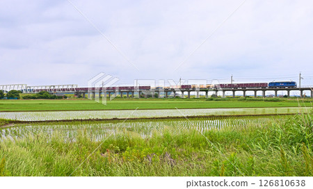 鹿島線的貨運列車 126810638