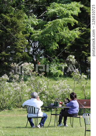 Sapporo flower spot Kawashita Park Elderly couple enjoying cherry blossom viewing Lilac Lilac Sapporo city flower Sapporo flower spot Kawashita Park Elderly couple enjoying cherry blossom viewing Lilac Lilac Sapporo city flower 126810725
