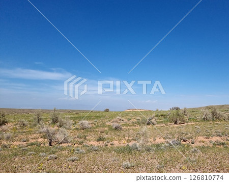 Desert Landscape With Trees And Blue Sky Desert Landscape With Trees And Blue Sky 126810774