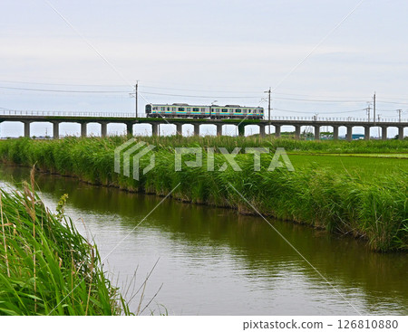 Trains on the Kashima Line 126810880