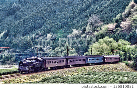 Steam locomotive of Oigawa Railway 126810881