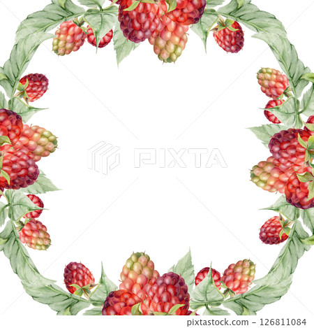 Raspberry ripe garden berries leaves. Dewberry cloudberry mulberry loganberry tayberry boysenberry hand drawn in watercolor. Isolated square border frame illustration. Wedding stationery, florist shop 126811084