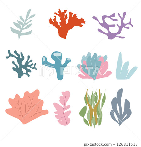 Set of colorful corals and seaweeds,nautucal illustration on white background,Hand drawen coral reef and sea plants Set of colorful corals and seaweeds,nautucal illustration on white background,Hand drawen coral reef and sea plants 126811515