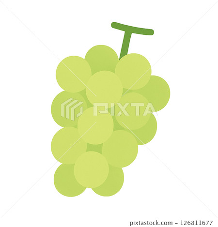 Shine Muscat 插圖(簡單/流行) Shine Muscat 插圖(簡單/流行) 126811677