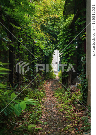 A jungle in the city [Matsumoto City] 126812521