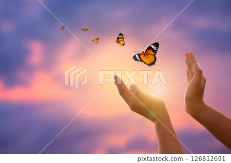 flying butterfly and  hands on abstract sunny natural background. end of summer concept. freedom. encounter man and nature. harmony, peaceful atmosphere landscape 126812691