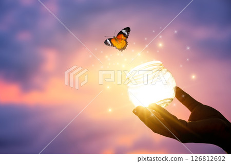 flying butterfly and hands on abstract sunny natural background. end of summer concept. freedom. encounter man and nature. harmony, peaceful atmosphere landscape flying butterfly and hands on abstract sunny natural background. end of summer concept. freedom. encounter man and nature. harmony, peaceful atmosphere landscape 126812692