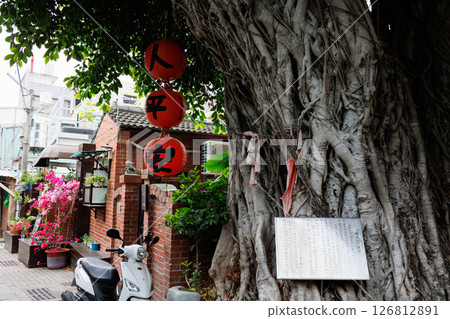 The sacred tree of Abira, where you can feel the history 126812891