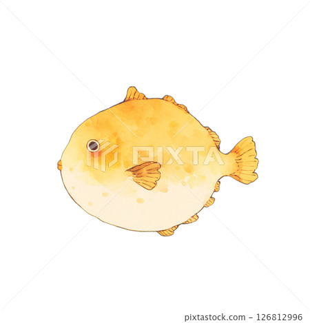 肥美的魚 126812996