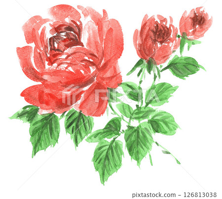 水彩畫的橘色玫瑰 25601pix7 126813038