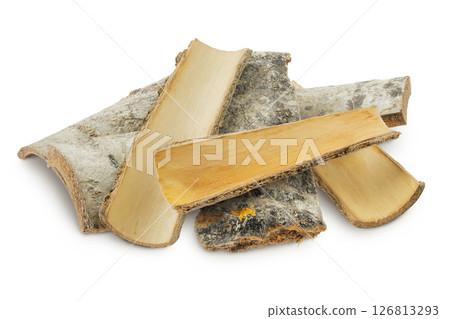piece of aspen bark isolated on white background. 126813293