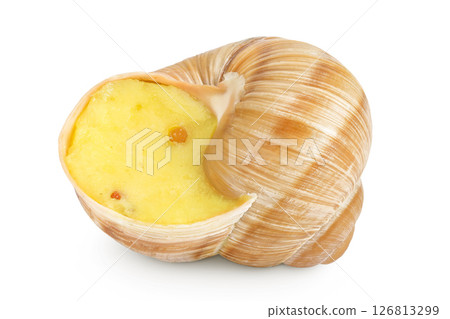 Dijon escargot snail filled with butter, garlic, Dijon mustard and cheese isolated on white background 126813299