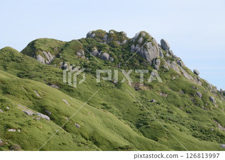 從屋久島永田山中部眺望根町 126813997