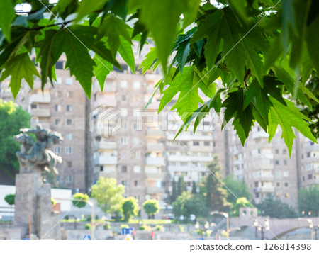 green leaves and blurred view of Kapan town green leaves and blurred view of Kapan town 126814398
