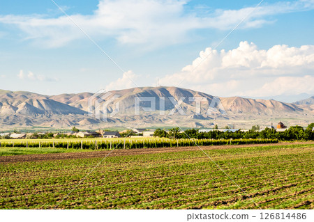 plowed field along E117 highway in Ararat province plowed field along E117 highway in Ararat province 126814486