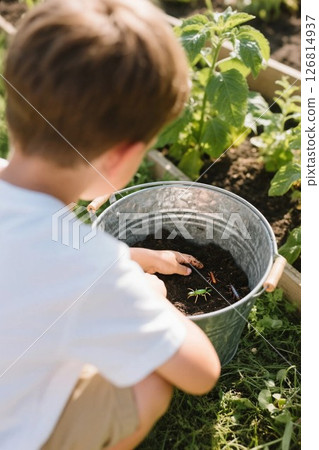 夏日花園遊樂 夏日花園遊樂 126814937