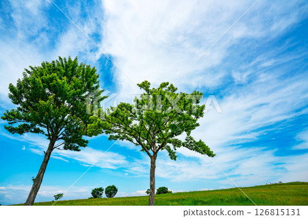 藍天和雲彩和大草原 126815131