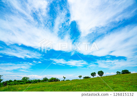 藍天和雲彩和大草原 126815132