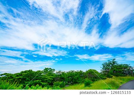 Blue sky and clouds and prairie 126815133