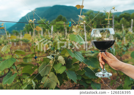 Hand Holding Red Wine Glass in Vineyard on a Summer Day 126816395