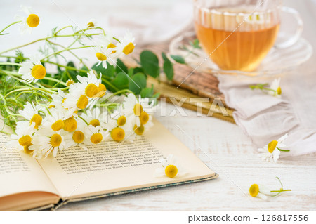 Fresh chamomile flowers, herbal tea and books Fresh chamomile flowers, herbal tea and books 126817556