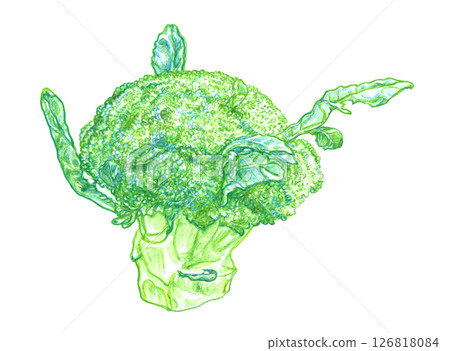 羽狀葉西蘭花 126818084