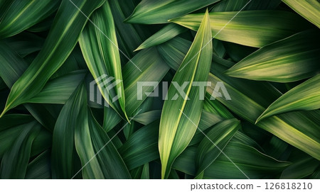 Close-up of lush green tropical leaves with variegated patterns and rich textures. Nature freshness and botanical concept 126818210
