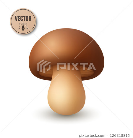 Cute Vector 3D Realistic Mushroom Icon. Cartoon Fungi Illustrations Closeup Isolated on White Background. Mushroom Fungi Clipart, Design Template for Nature Botanical Concept Cute Vector 3D Realistic Mushroom Icon. Cartoon Fungi Illustrations Closeup Isolated on White Background. Mushroom Fungi Clipart, Design Template for Nature Botanical Concept 126818815