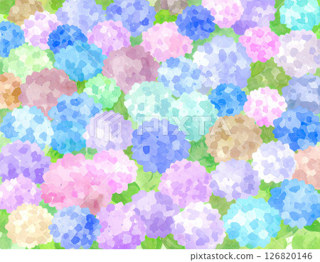 大量水彩風格的繡球花 126820146