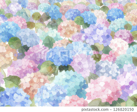 大量水彩風格的繡球花 大量水彩風格的繡球花 126820150