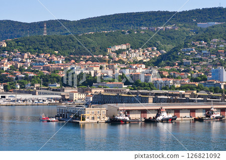 Trieste marina aerial view from from cruise ship. 126821092