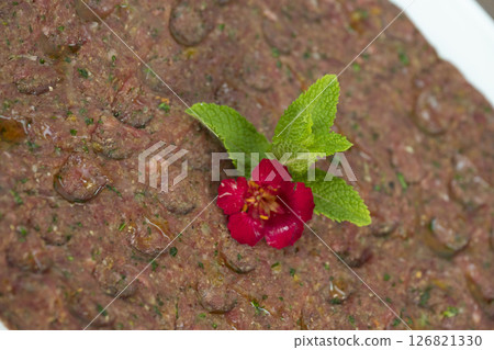 Delicious Lebanese Kebbe Naye garnished with olive oil and fresh mint on a rustic wooden table Delicious Lebanese Kebbe Naye garnished with olive oil and fresh mint on a rustic wooden table 126821330