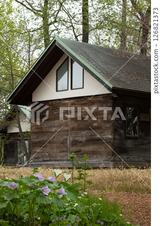 六花之森 白音葵 5 六花之森 白音葵 5 126821373