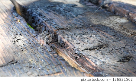 Burnt wooden surface made of planks 126821562