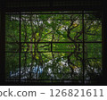 魯里科因 126821611