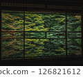 魯里科因 126821612