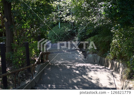 城市中心的綠色樓梯 126821779
