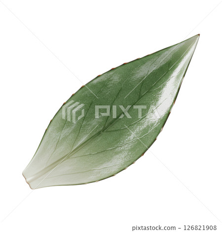Glossy Green Agave Leaf Botanical Element 126821908