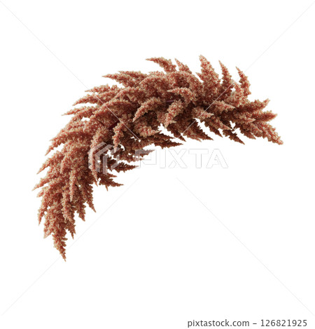 Textured Dried Amaranth Stalk for Floral Design 126821925