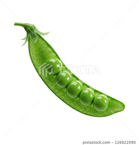 Fresh Green Snow Pea Pod with Exposed Peas Fresh Green Snow Pea Pod with Exposed Peas 126822090