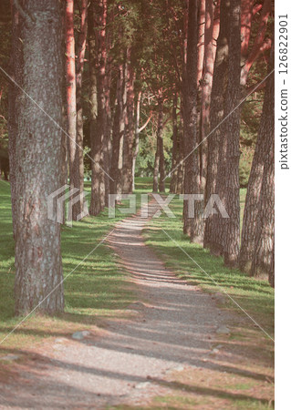 Faded forest landscape with trail shot vertically. 126822901