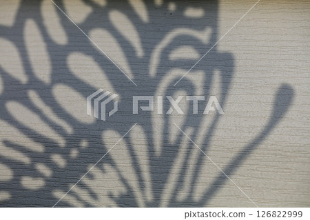 Concrete wall with a beautiful shadow from a geometric figure with curls. 126822999