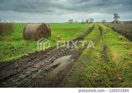 Muddy dirt road with puddle through green fields with hay bales and cloudy sky Muddy dirt road with puddle through green fields with hay bales and cloudy sky 126823884